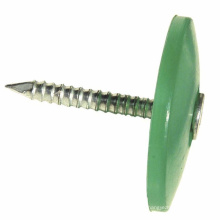 Galvanized plastic cap nails/roofing nails